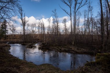 s üzerinde hiçbir bitki örtüsü ile erken ilkbaharda ülke orman nehri