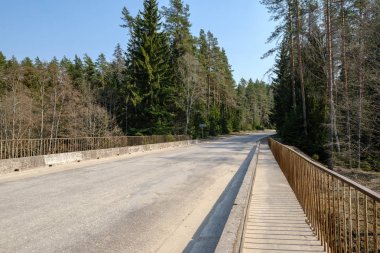 küçük orman nehri üzerinde köprü