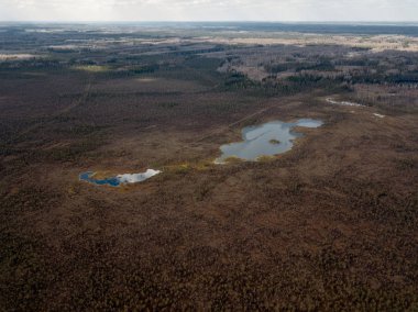 küçük göller ile kırsal alanlar ve ormanlar havadan görünümü