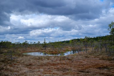 Ulusal mavi gökyüzü ve bulutlar yansımaları ile bataklık göller 