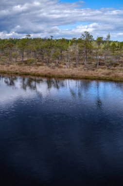 Ulusal mavi gökyüzü ve bulutlar yansımaları ile bataklık göller 