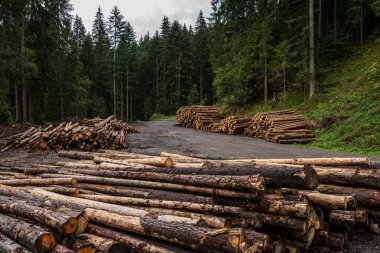 ormancı işleri, orman yakınındaki büyük yığınlar halinde ahşap günlükleri