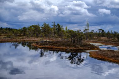 Ulusal mavi gökyüzü ve bulutlar yansımaları ile bataklık göller 