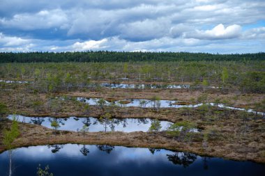 Ulusal mavi gökyüzü ve bulutlar yansımaları ile bataklık göller 