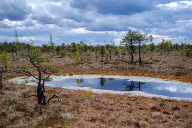 Ulusal mavi gökyüzü ve bulutlar yansımaları ile bataklık göller 