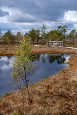 Ulusal mavi gökyüzü ve bulutlar yansımaları ile bataklık göller 