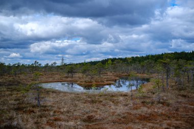 Ulusal mavi gökyüzü ve bulutlar yansımaları ile bataklık göller 