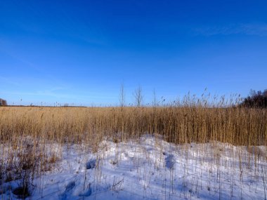 kırsal alanda karla kaplı alanlar