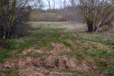 güneş ışınları ve gölgeler ile ormanda boş çakıl toz yolu
