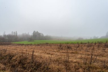 geç sonbaharda sis le kaplı alanlar ve ormanlar