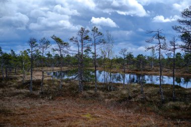 Ulusal mavi gökyüzü ve bulutlar yansımaları ile bataklık göller 