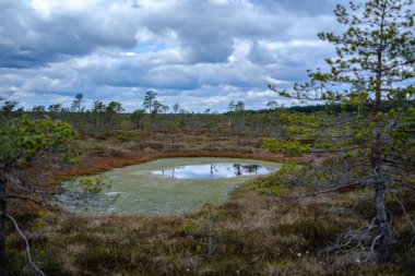 Ulusal mavi gökyüzü ve bulutlar yansımaları ile bataklık göller 