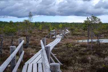 bataklık ulusal par güzel ahşap plank boardwalk patikalar