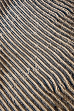 deniz plajı tarafından kışın dondurulmuş kum dokuları