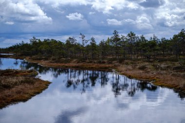 Ulusal mavi gökyüzü ve bulutlar yansımaları ile bataklık göller 