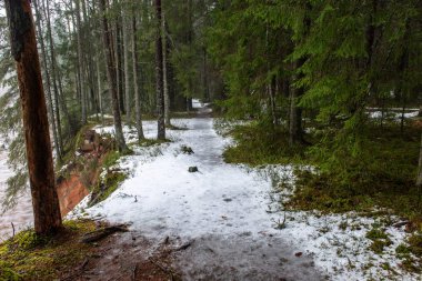 kış kırsal dondurulmuş zemin dokusu