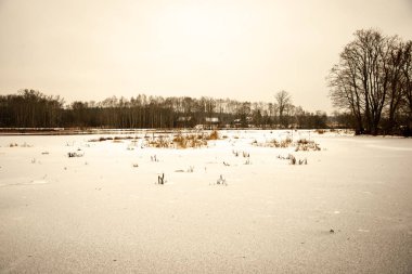 kış kırsal dondurulmuş zemin dokusu
