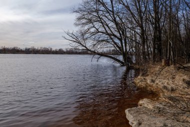 güneşli bir günde kum ve su ile deniz plajı