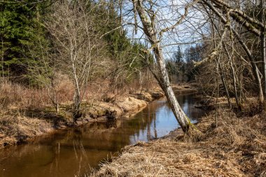 s üzerinde hiçbir bitki örtüsü ile erken ilkbaharda ülke orman nehri