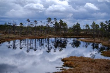 Ulusal mavi gökyüzü ve bulutlar yansımaları ile bataklık göller 