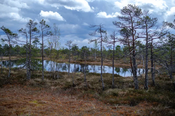 Moeras meren met reflecties van blauwe lucht en wolken in nationaal — Stockfoto