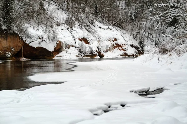 Río bosque congelado en invierno — Foto de Stock