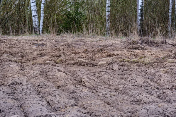 Campos de agricultura arados frshly — Fotografia de Stock