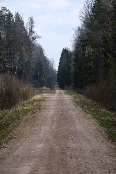 b gün batımında eautiful kırsal çakıl yol