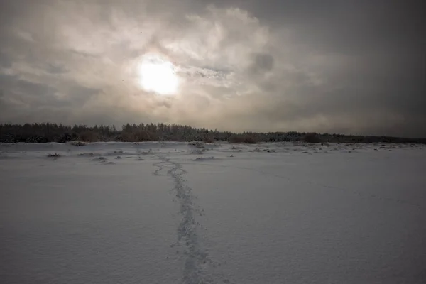 frozen snow covered beach by the sea