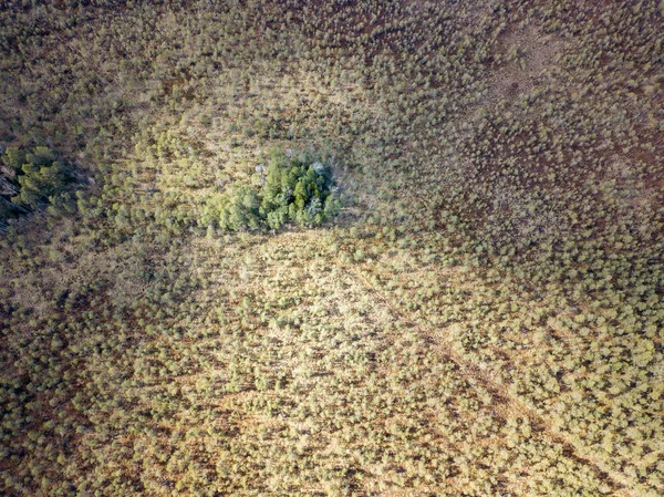 Vista aérea del campo interminables bosques verdes con pequeño lago — Foto de Stock