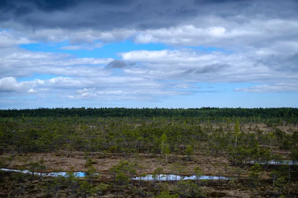 Lagos pantanosos con reflejos de cielo azul y nubes en Nacional — Foto de Stock