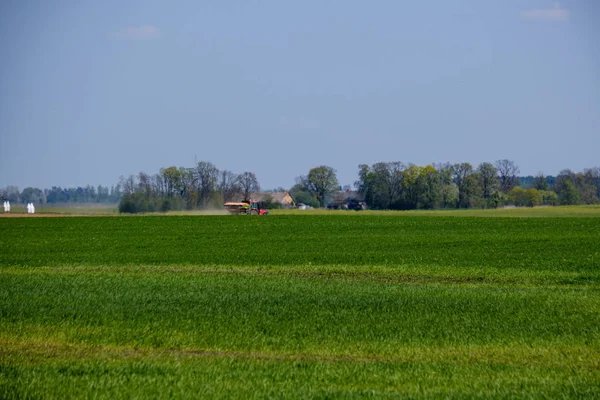 Färskt grönt jordbruk fält i vårtid — Stockfoto