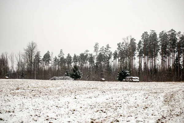 Texture del terreno ghiacciato in campagna invernale — Foto Stock