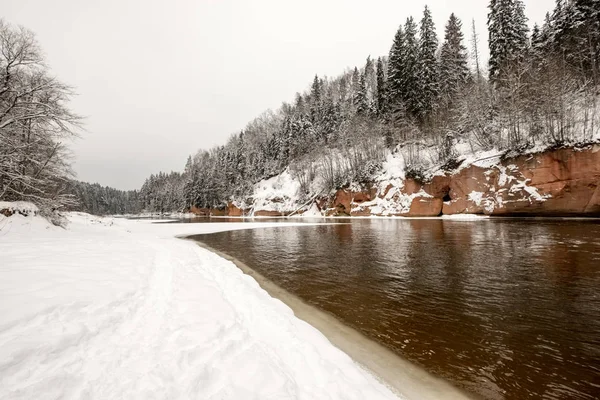 겨울에 얼어 붙은 숲 강 — 스톡 사진
