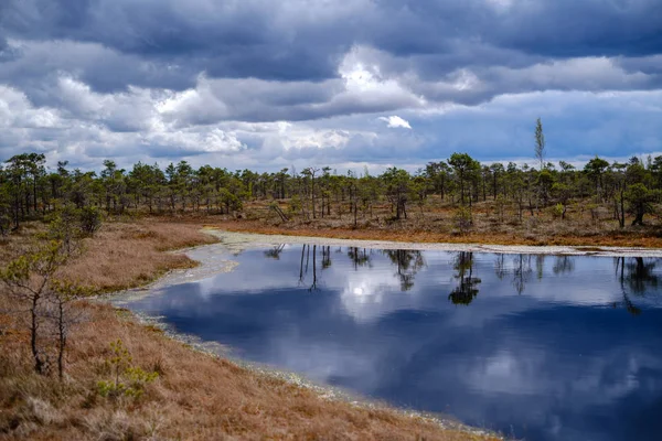 Moeras meren met reflecties van blauwe lucht en wolken in nationaal — Stockfoto