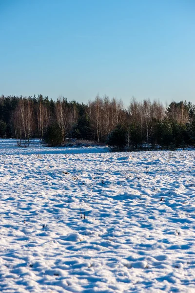 겨울 시골의 냉동 지상 질감 — 스톡 사진