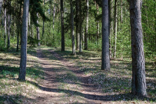 beautiful gravel road in countryside