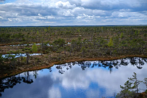 Swamp lakes with reflections of blue sky and clouds in National — Stock Photo, Image