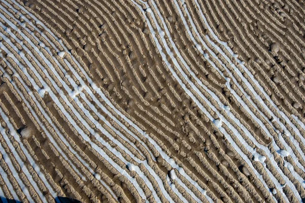 Frossen sandstruktur om vinteren ved havstranden – stockfoto