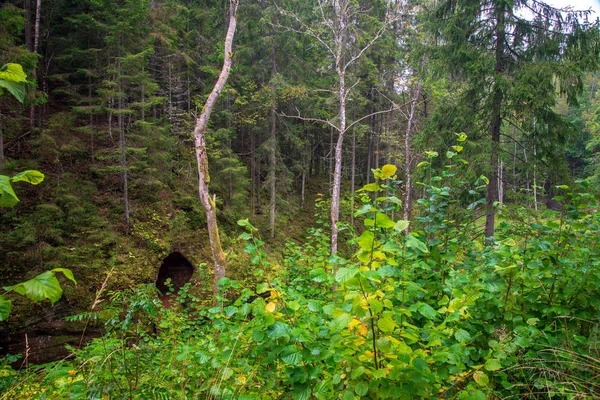 Yeşil ormanda koyu mağara girişi ile kumtaşı uçurum — Stok fotoğraf