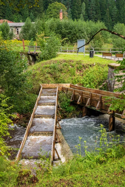 wooden plank foothpath boardwalk trampoline in the lake