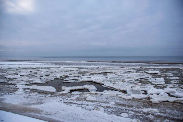 Lód zamarznięta plaża morska ze śniegiem i mrożone drzewa — Zdjęcie stockowe