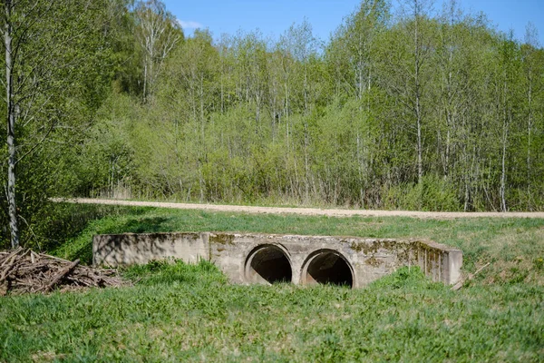 Brücke über kleinen Waldfluss — Stockfoto