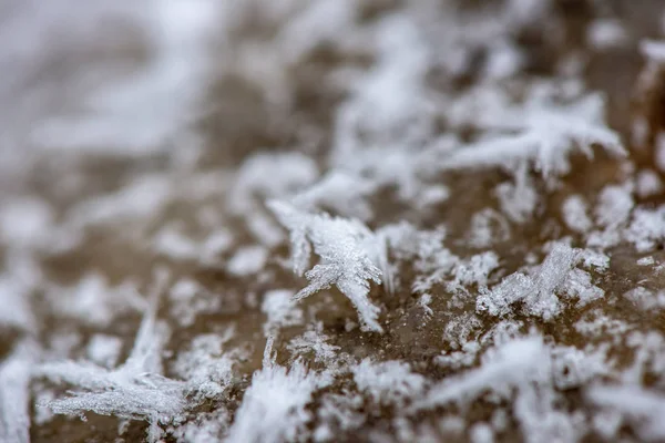 Textura congelada do solo no campo de inverno — Fotografia de Stock