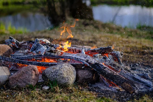 Open fire burning logs in field with green grass — Stock Photo, Image