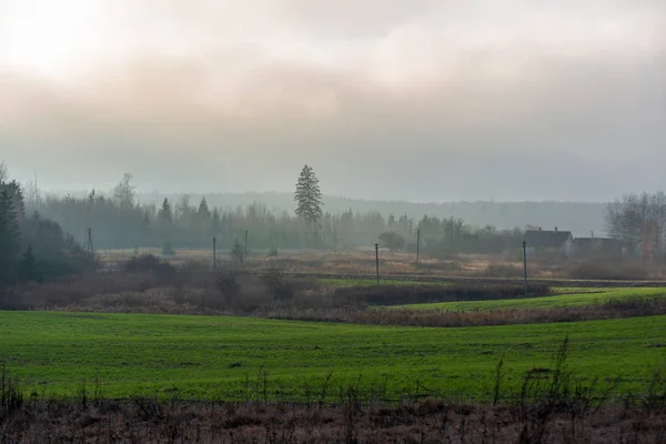 Fields and forests covered in mist in late autumn — Stock Photo, Image