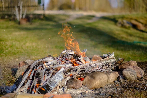 Open fire burning logs in field with green grass — Stock Photo, Image