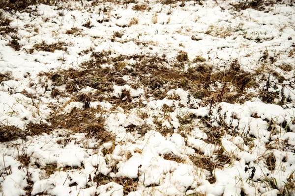 Frozen ground texture in winter countryside — Stock Photo, Image