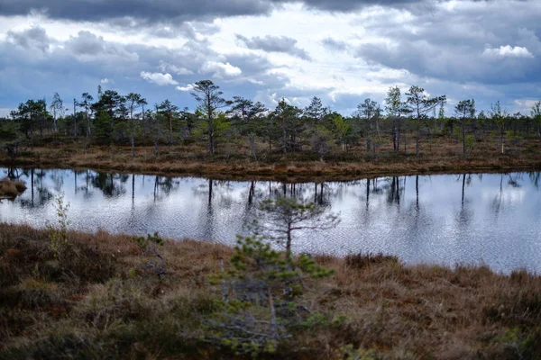 Träsk sjöar med reflektioner av blå himmel och moln i nationella — Stockfoto