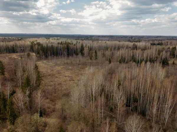 Letecký pohled na venkovské oblasti a lesy s malými jezery — Stock fotografie